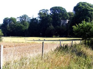 Thundridge Old Church