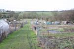 Image: Allotment 1