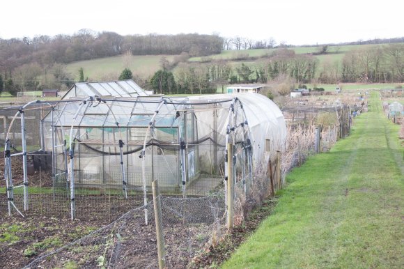 Allotment 2