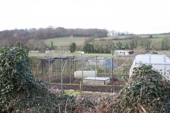 Allotment 3